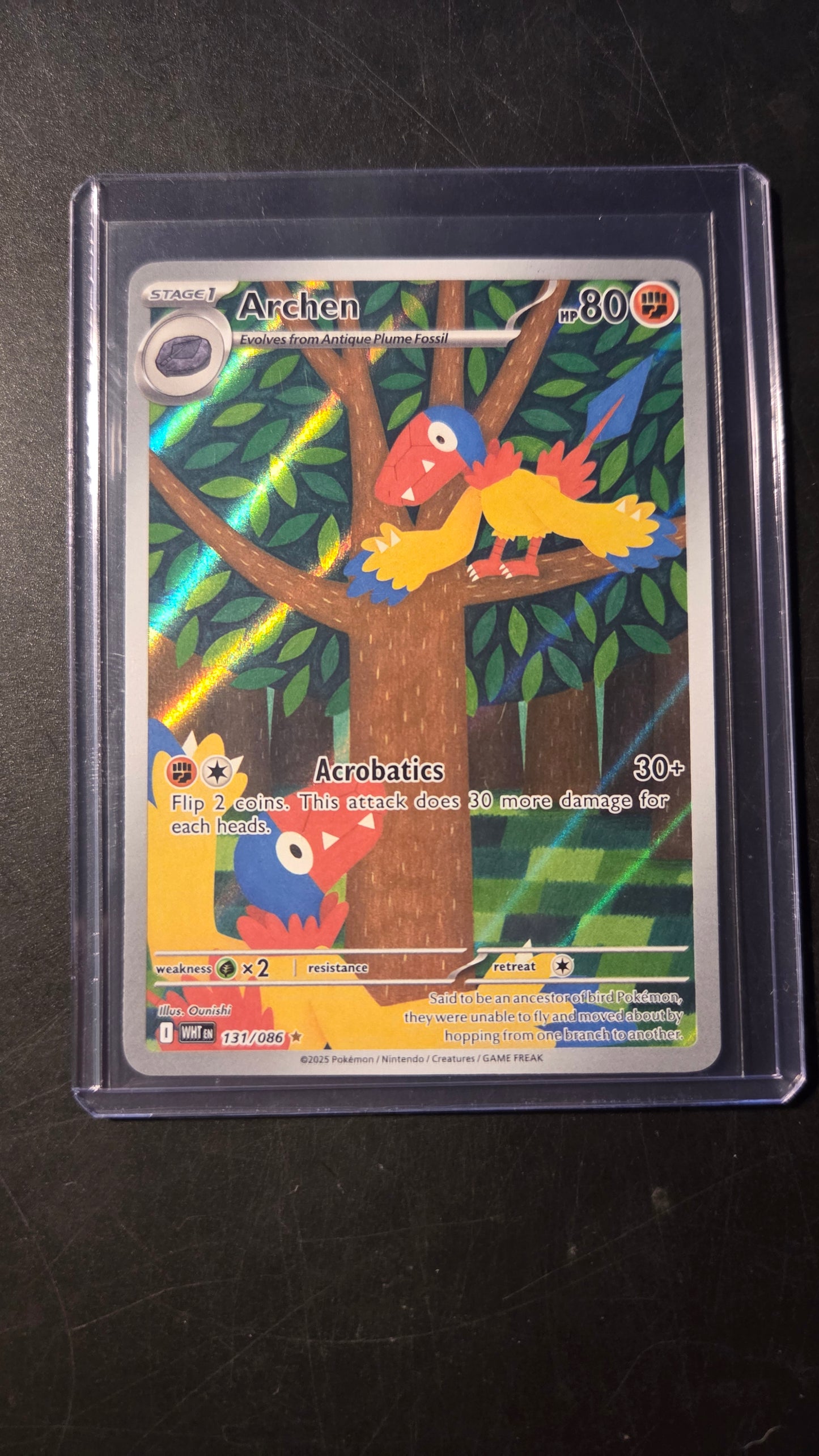 131/086 Archen (Illustration Rare) (White Flare) Pokémon card (English)